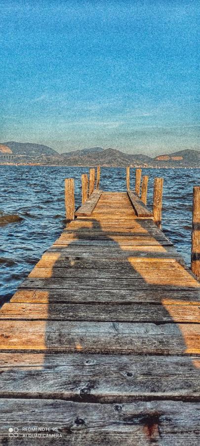 Willa Casa Tonfoni Torre del Lago Puccini Zewnętrze zdjęcie