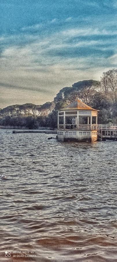 Willa Casa Tonfoni Torre del Lago Puccini Zewnętrze zdjęcie