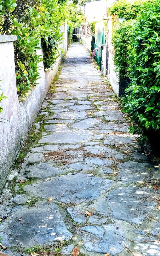 Willa Casa Tonfoni Torre del Lago Puccini Zewnętrze zdjęcie